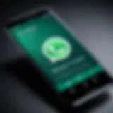 Smartphone displaying WhatsApp data transfer interface