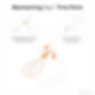 Maintaining Your Fine Point Apple Pencil Tip Visual guide on maintenance tips for prolonging the life of the fine point Apple Pencil tip.