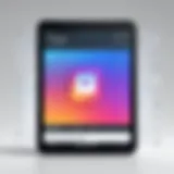 Illustration of Instagram's algorithm dynamics