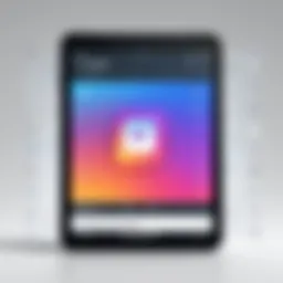 Illustration of Instagram's algorithm dynamics