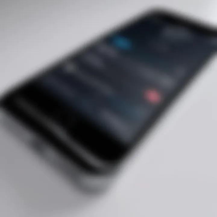 User interface for enabling touch lock on iPhone