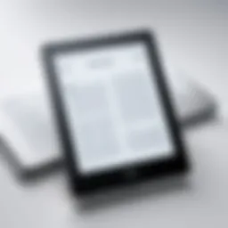 An eBook reader displaying an EPUB file