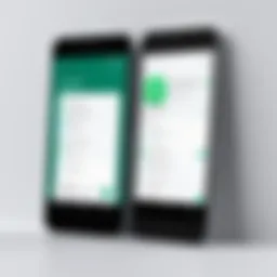 Visual representation of acquiring a second phone number for enhanced privacy