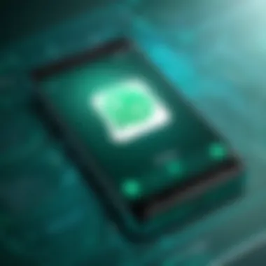 Visual representation of WhatsApp's multifunctional interface