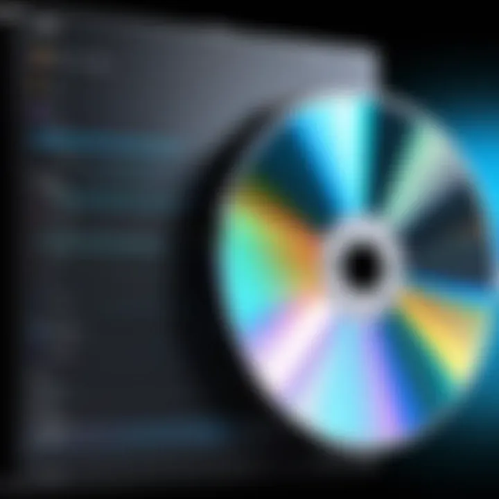 Screenshot demonstrating the DVD ripping process within the software